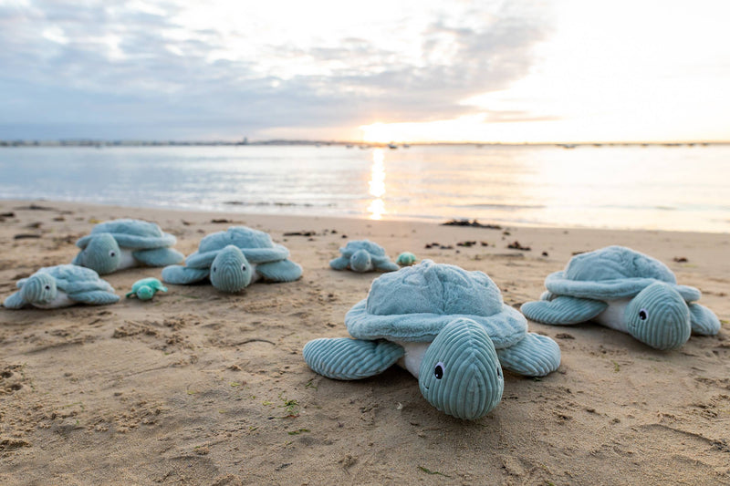 Les Ptipotos - Tilly The Turtle Mum & Baby: Mint