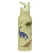 A Little Lovely Company - XL Stainless Steel Drink / Water Bottle: Dinosaurs