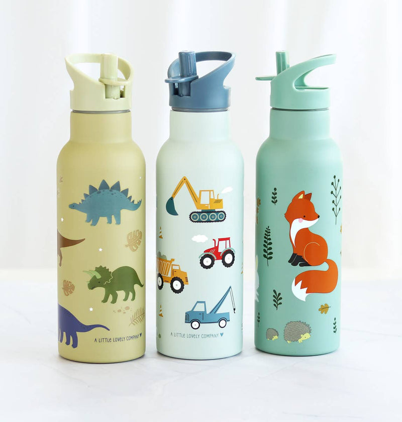 A Little Lovely Company - XL Stainless Steel Drink / Water Bottle: Dinosaurs