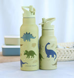A Little Lovely Company - XL Stainless Steel Drink / Water Bottle: Dinosaurs