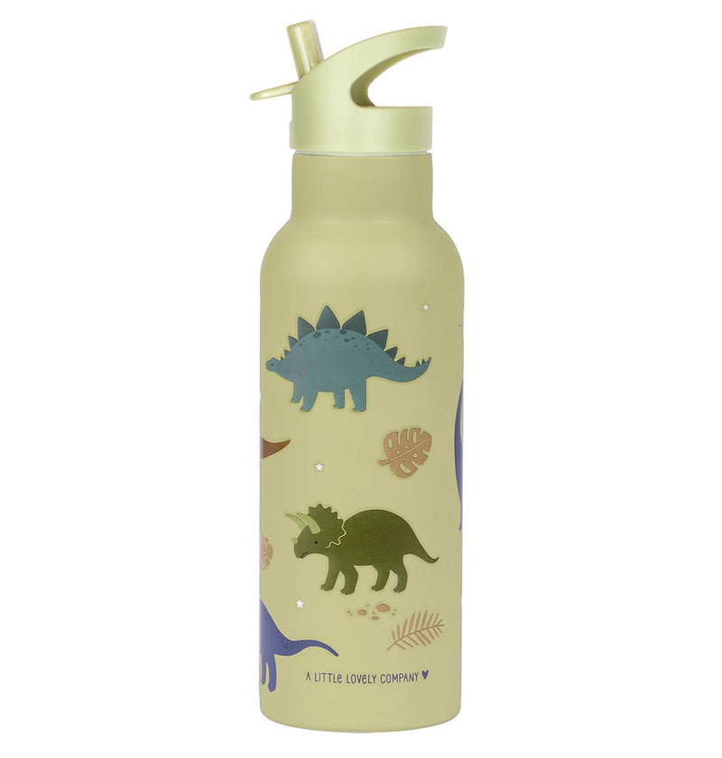 A Little Lovely Company - XL Stainless Steel Drink / Water Bottle: Dinosaurs