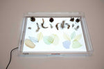 TickiT A3 Light Panel with Light Panel Cover : ScandiBugs