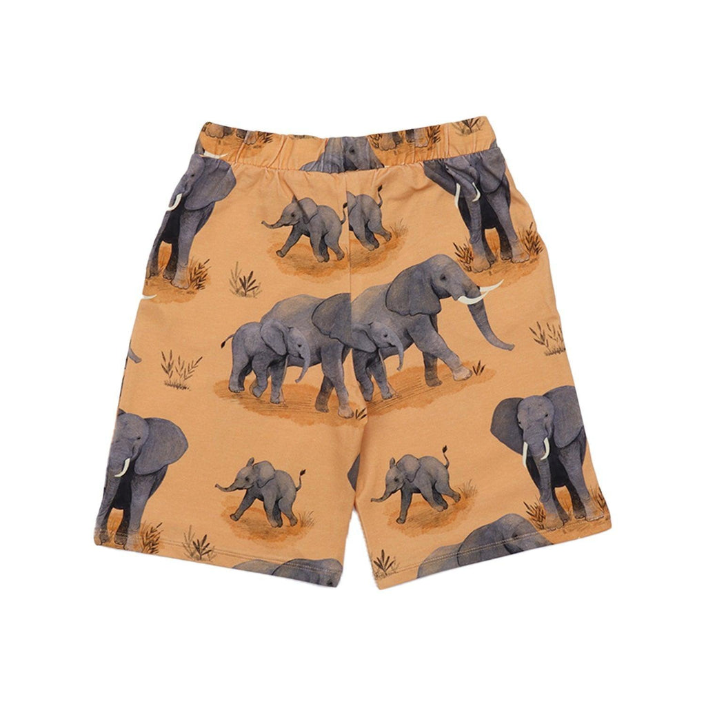 Walkiddy Elephant Family Shorts : ScandiBugs