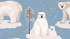 Walkiddy Polar Bear Family Long Sleeve Twirly Dress : ScandiBugs